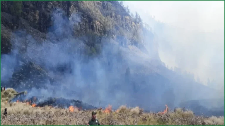 Fire Destroys 60 Hectares of Mount Bromo National Park