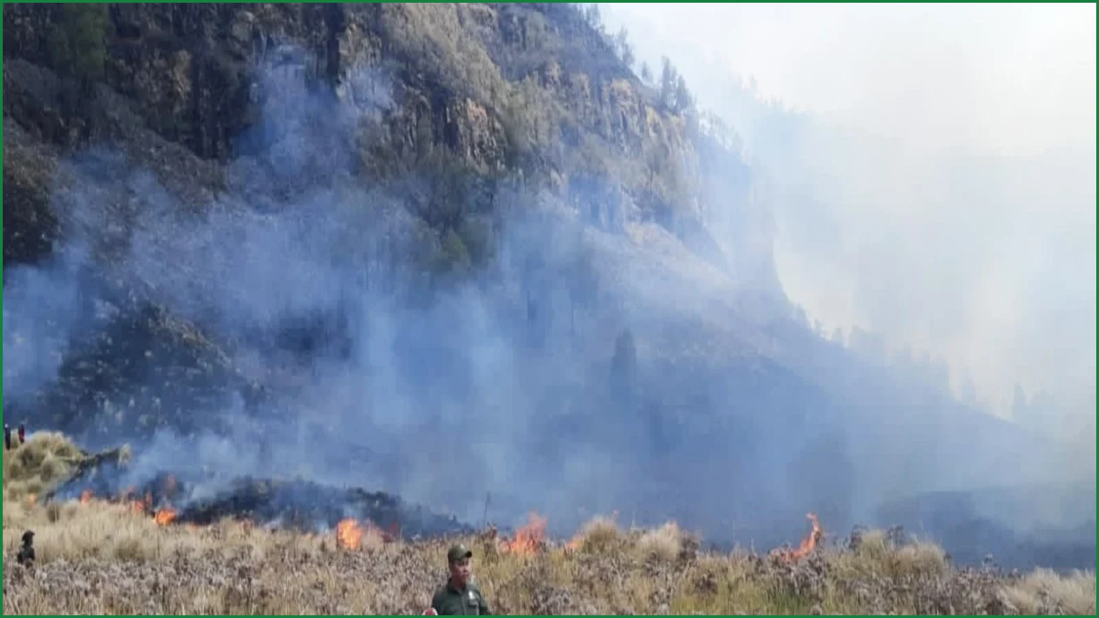Fire Destroys 60 Hectares of Mount Bromo National Park