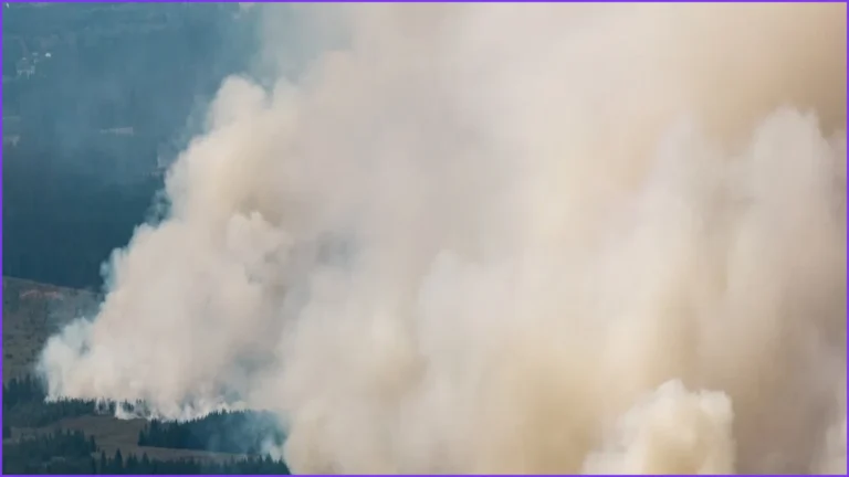 Firefighters Battle Massive Belgian Wildfire, Forcing Hundreds to