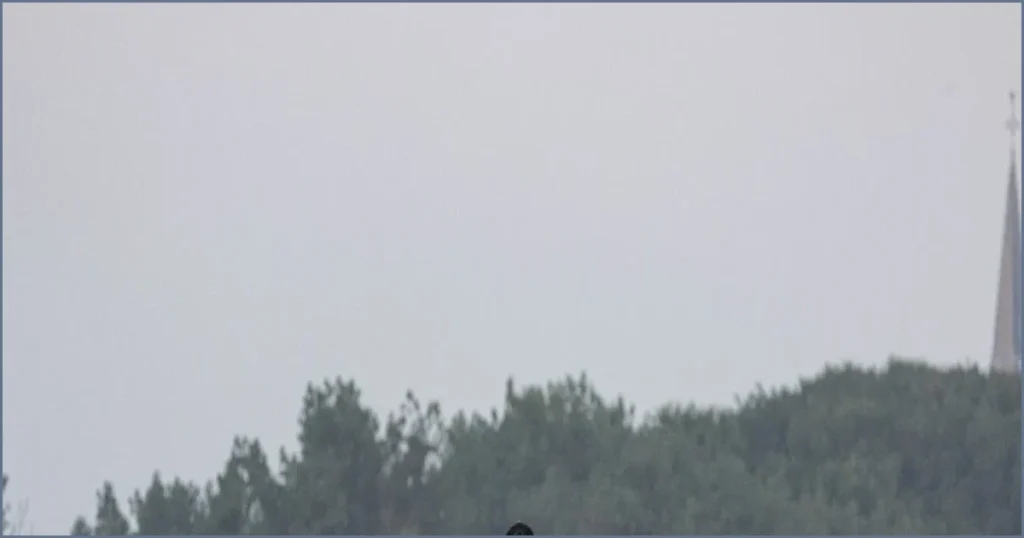 Footage Shows French Police Clashing With Migrants on Beach