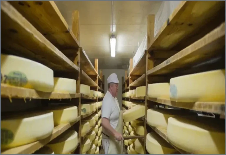 France Relaxes Cheese Production Rules Amid Severe Drought