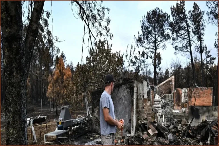 French Wildfires Ignite Political Blame Game Ahead of Elections