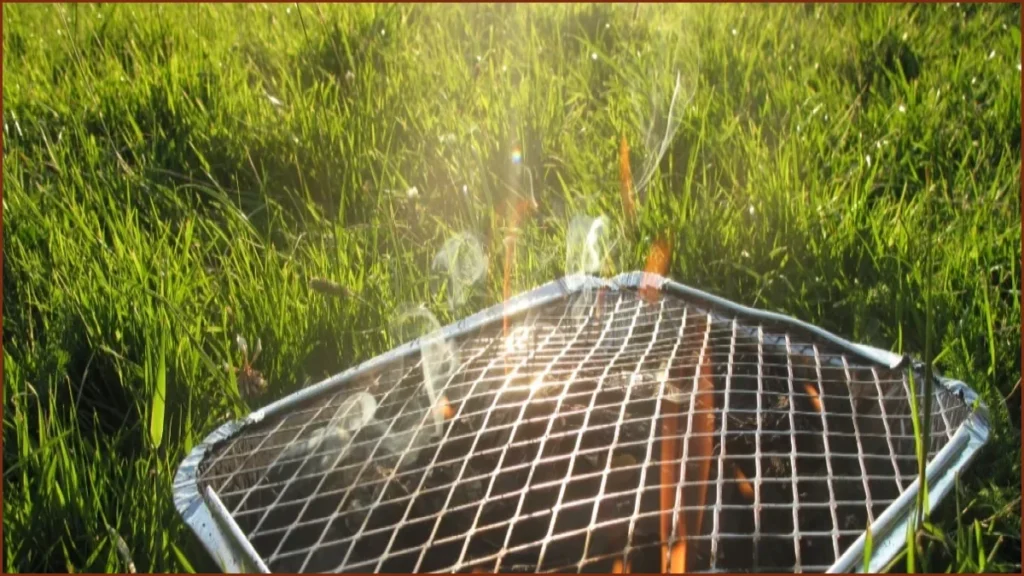 Government Considers Disposable Barbecue Ban Amid Wildfire Risks
