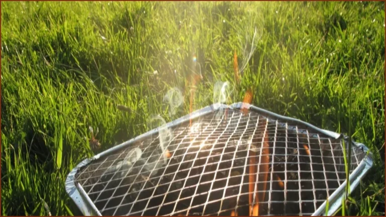 Government Considers Disposable Barbecue Ban Amid Wildfire Risks