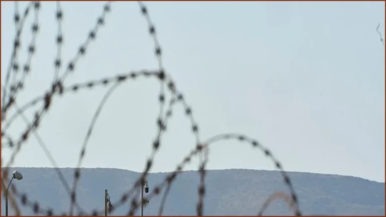 Greece Reports 34% Decline in Migrant Arrivals for 2026