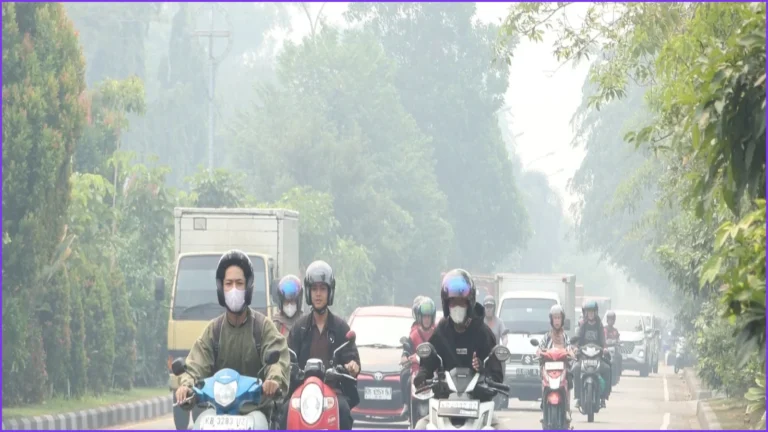 Indonesia Warns of Prosecution as Wildfire Haze Blankets Borneo
