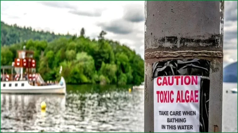 Most England Rivers and Lakes Fail Latest Pollution Assessment