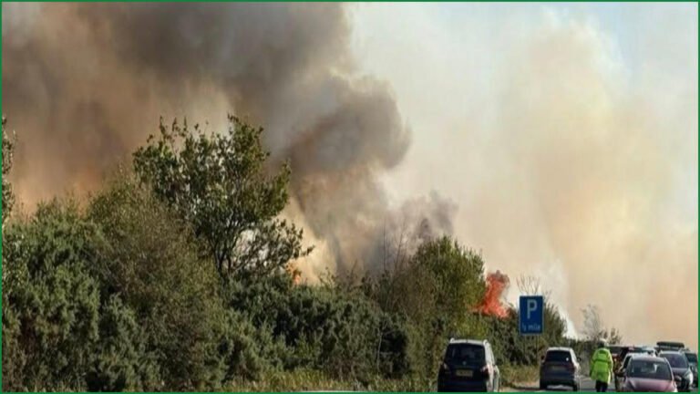 New Forest Firefighting Continues After A31 Van Blaze