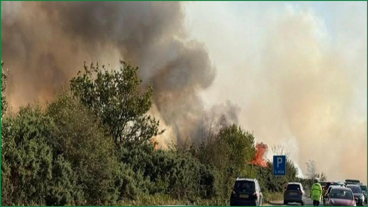 New Forest Firefighting Continues After A31 Van Blaze