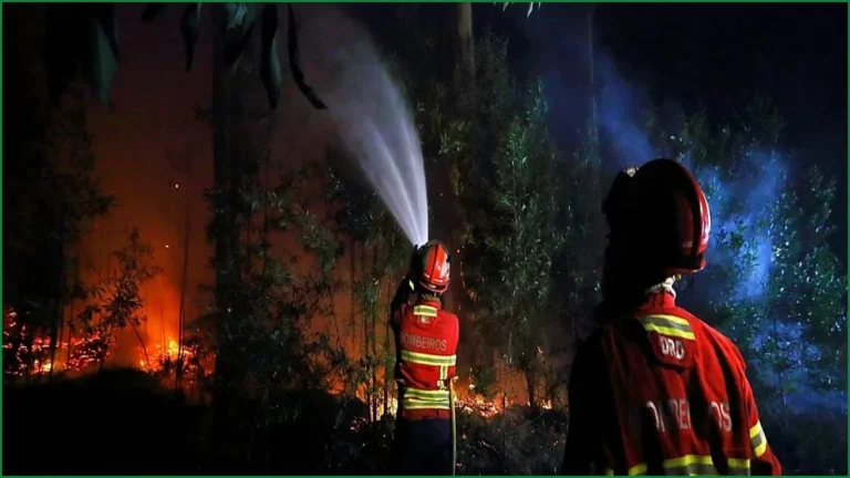 Over 2,000 Personnel Battle Ongoing Wildfires Across Portugal