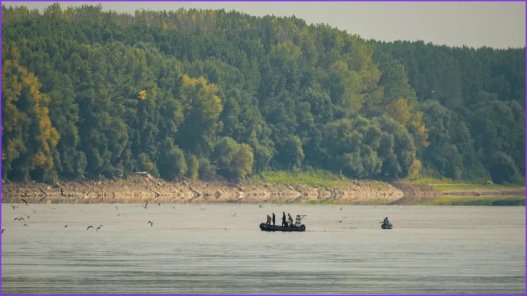 Record Low Danube Levels Push Europe Toward Energy Emergency