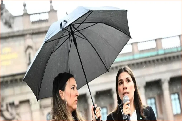 Sweden's Green Party Seeks Humanitarian Clause for Brexit Deportations