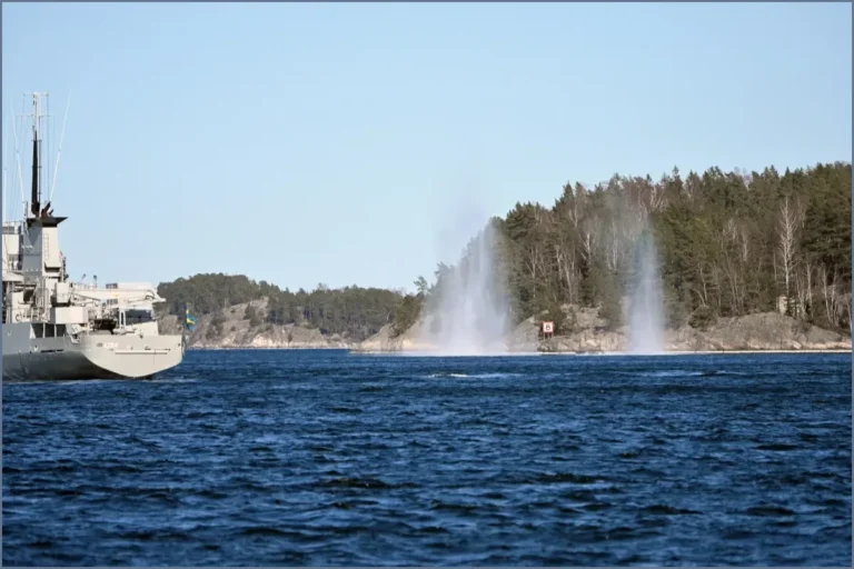 Swedish Military Seeks to Expropriate Russian Property Near Naval Base