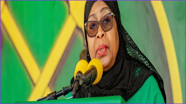 Tanzania Vice President Emmanuel Nchimbi Resigns After One Year
