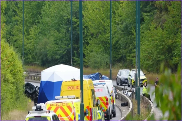 UK Demands TikTok Remove Dangerous Driving Videos After Fatal Crash