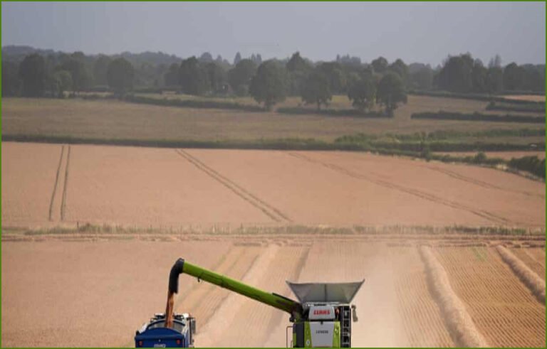 UK Farmers Warn of Food Shortages Amid Sustained Drought