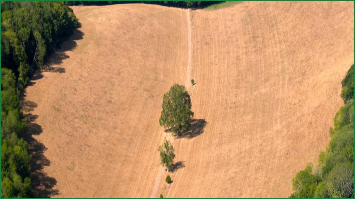 UK Records Hottest Day of Year as Temperatures Hit 38.1C