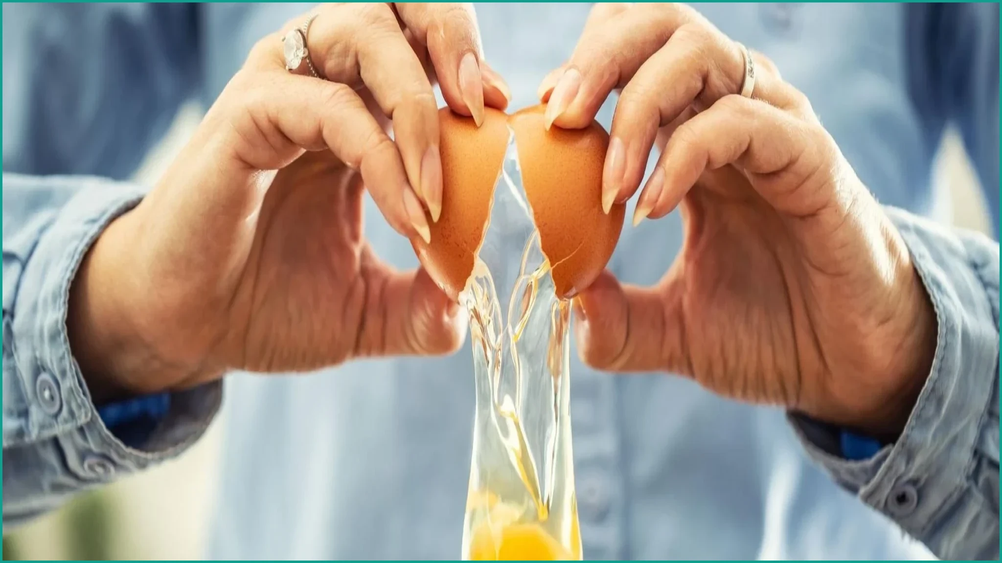 UK Salmonella Outbreak Linked to Imported Eggs Reaches 474 Cases