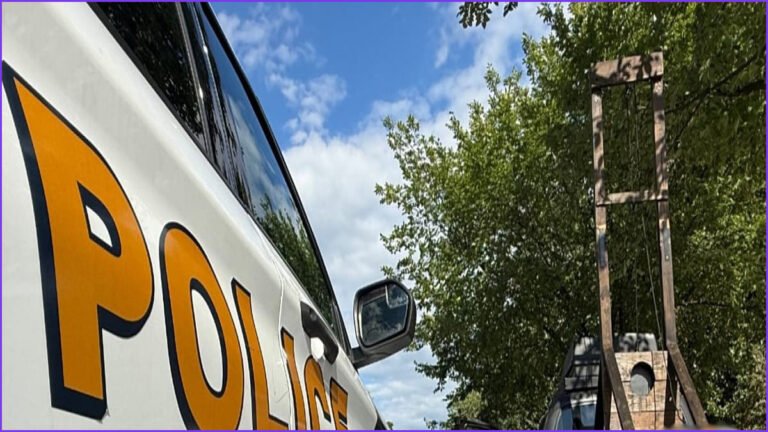 US Capitol Police Arrest Man Transporting Guillotine in Washington