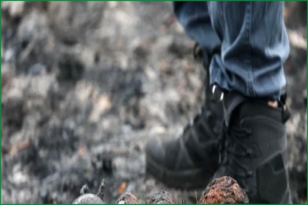 WWII Explosives Detonate During Forest Fire in Le Porge