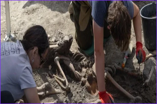 WWII Massacre Exhumations in Ukraine Aim to Mend Polish Ties
