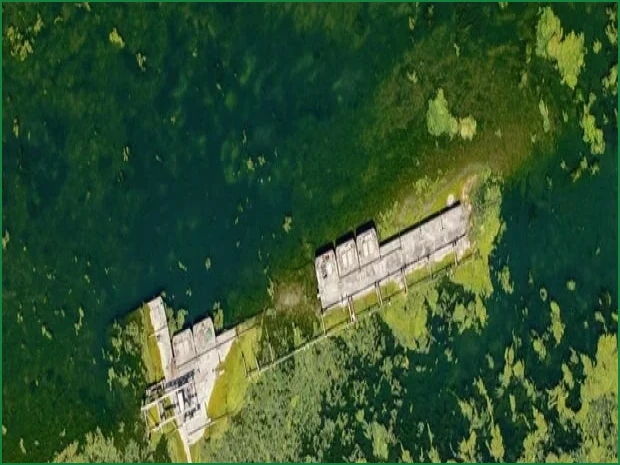 WWII Shipwrecks, Mammoth Bones Emerge as Danube Dries Up