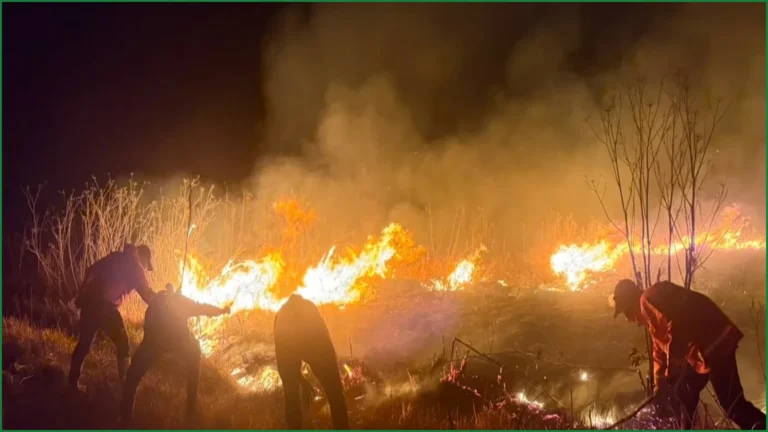Wildfire Spreads Across Indonesia's Mount Bromo National Park