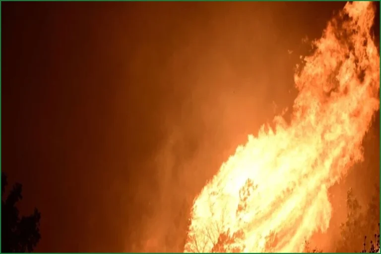 Wildfires Force Evacuations Across Greece Amid Strong Winds