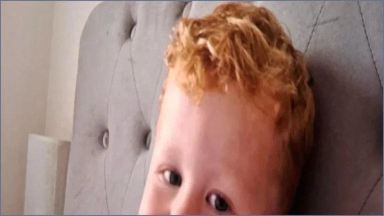 Body found in Suffolk pond during search for Noah Woods, 3