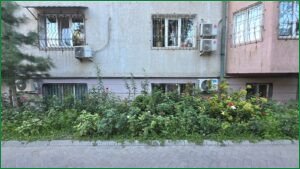 Can Miniature ‘Sponge Cities’ Help Central Asia Fight Climate Change?