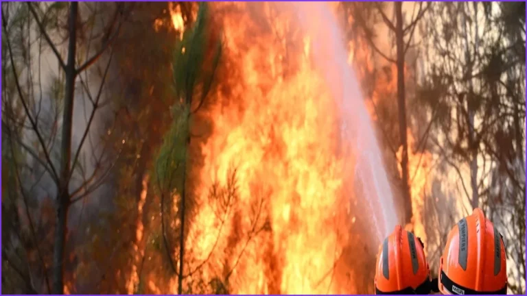 EU Proposes New Firefighting Fleet After Record Summer Heat