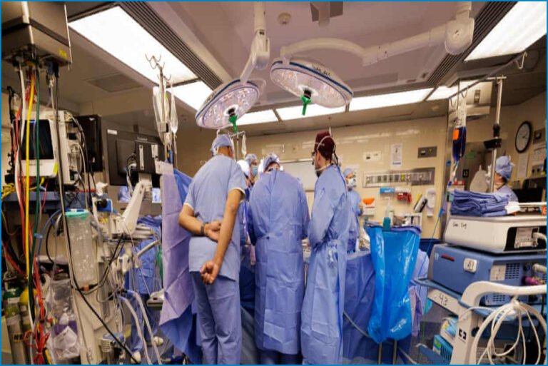 Genetically Modified Pig Kidney Keeps Patient Alive for Nine Months