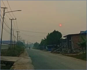 Indonesian Government Sued Over Kalimantan Wildfires