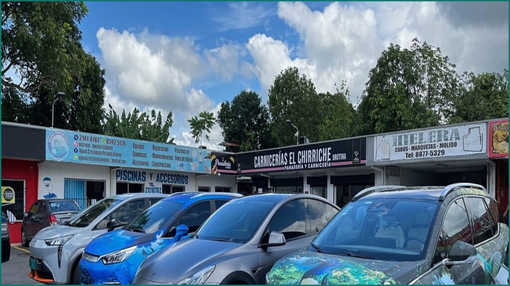 Norwegian EV Buyers Turn to Chinese Brands Despite Skepticism