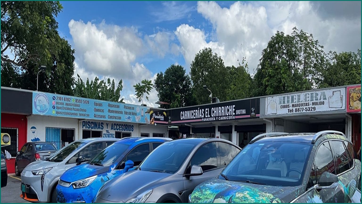 Norwegian EV Buyers Turn to Chinese Brands Despite Skepticism