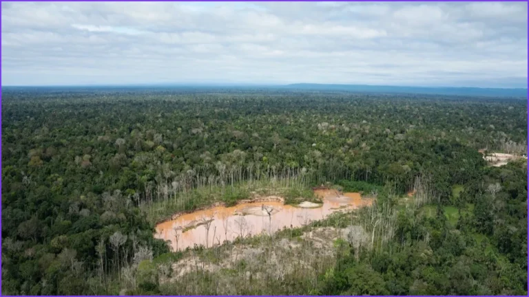 Peru Faces Human Rights Court Over Isolated Amazon Tribes