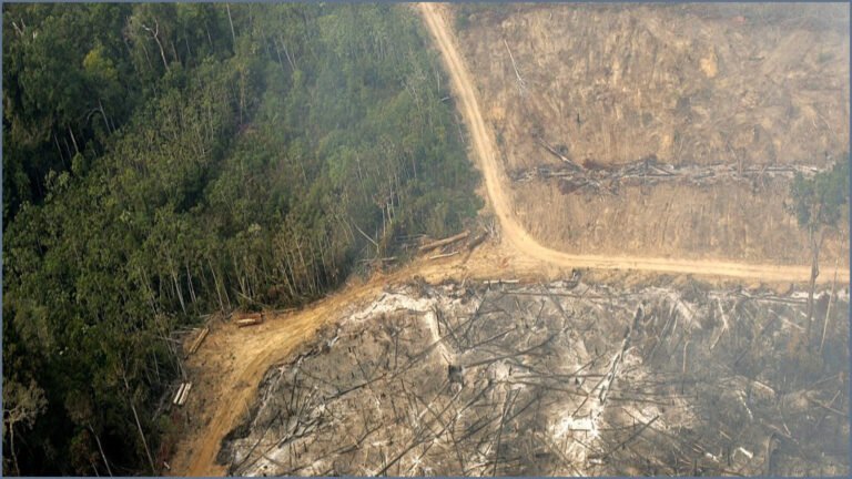 Scientists Warn Seven Planetary Boundaries Have Been Breached