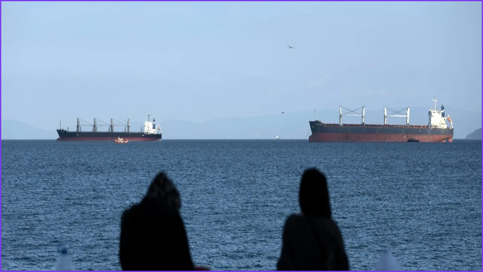 Search Launched for Missing Crew After Marmara Sea Collision