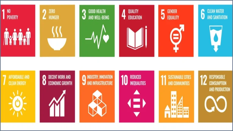 UN Sustainable Development Goals Face Unmet 2030 Deadline