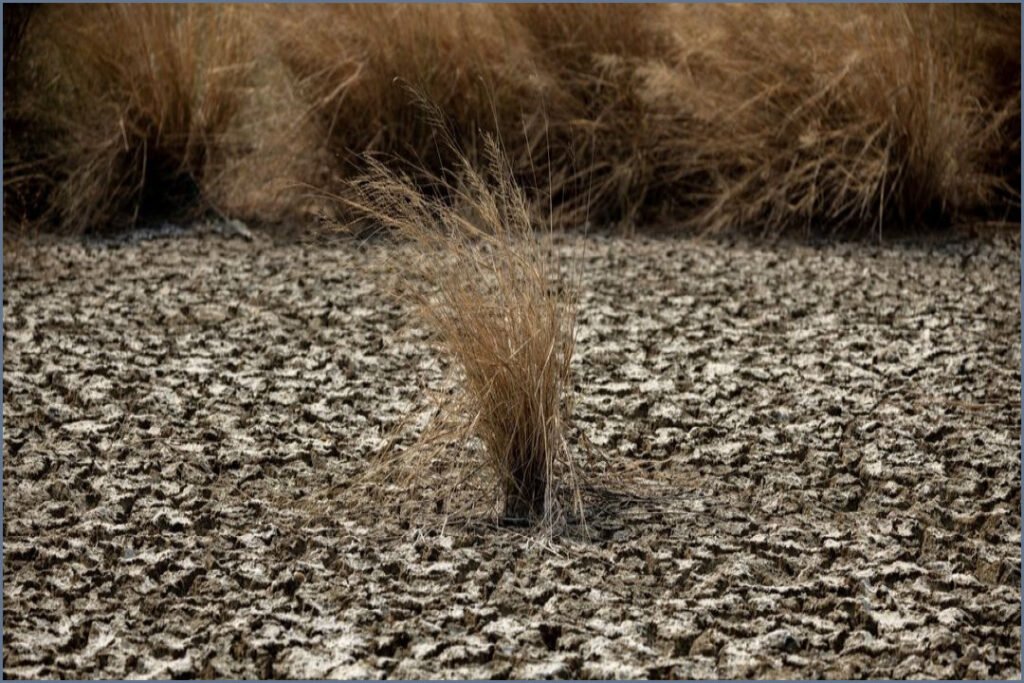 UN Warns El Nino Poses Growing Global Health Threat