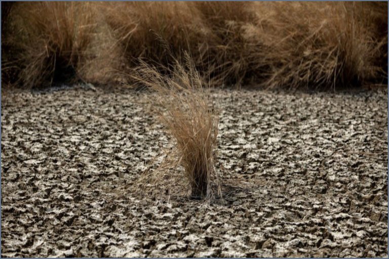 UN Warns El Nino Poses Growing Global Health Threat