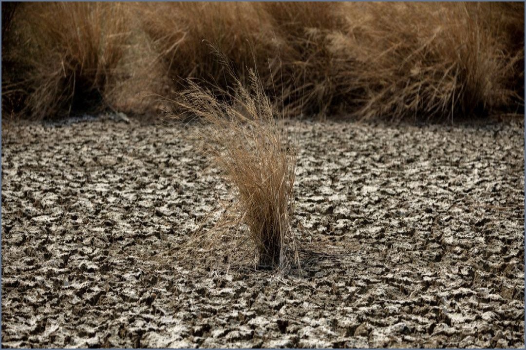 UN Warns El Nino Poses Growing Global Health Threat
