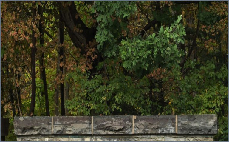 US Prosecutors Reopen Cornell University Gang-Rape Investigation