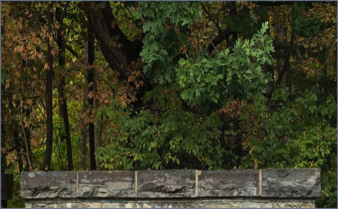 US Prosecutors Reopen Cornell University Gang-Rape Investigation
