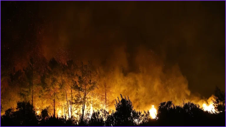 Volunteer Firefighter Dies Battling Wildfire in Turkey’s Antalya Province