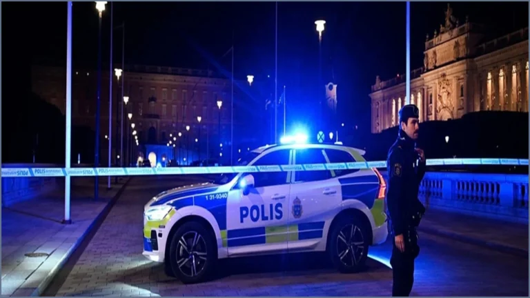Armed Man Shot by Police Outside Sweden's Royal Palace