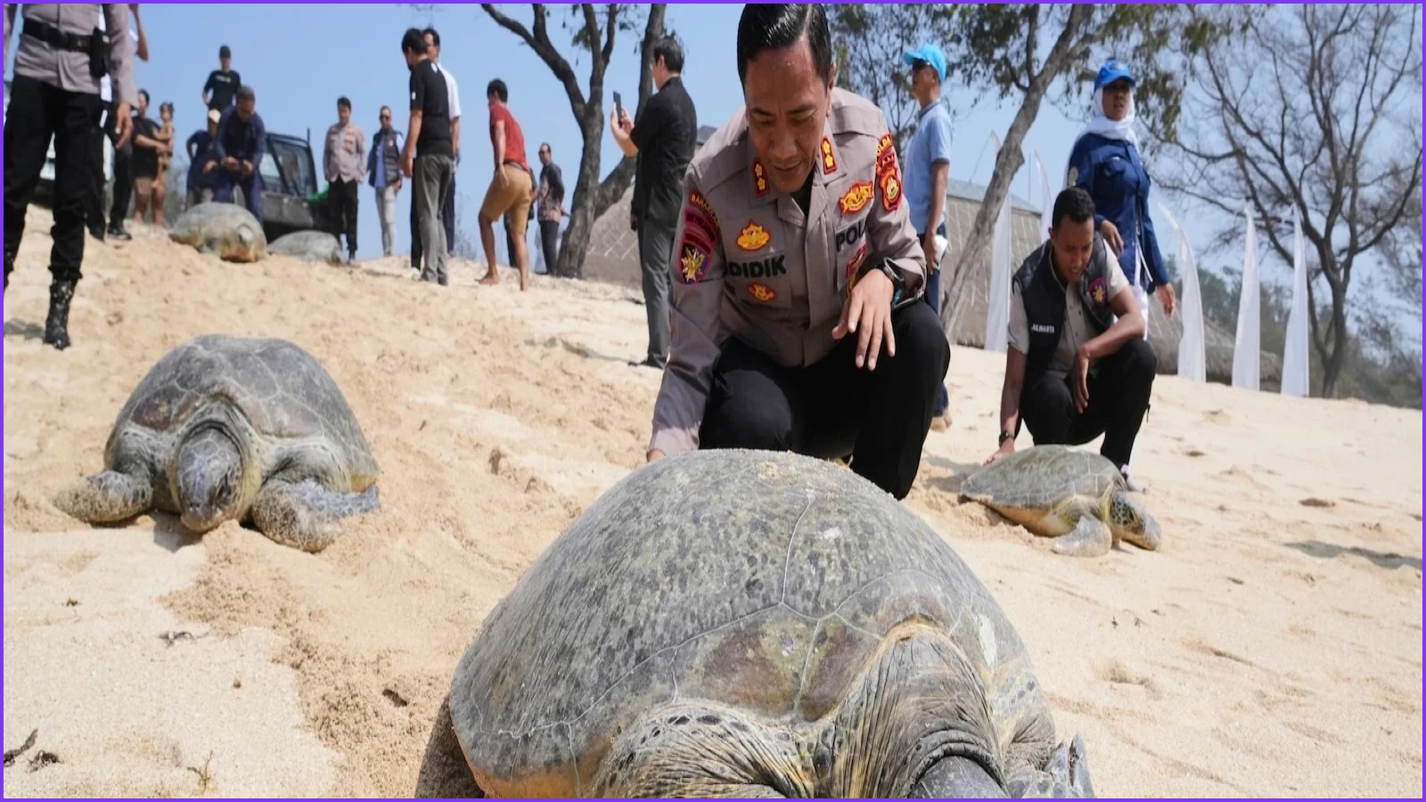 Bali Authorities Release 20 Rescued Green Sea Turtles