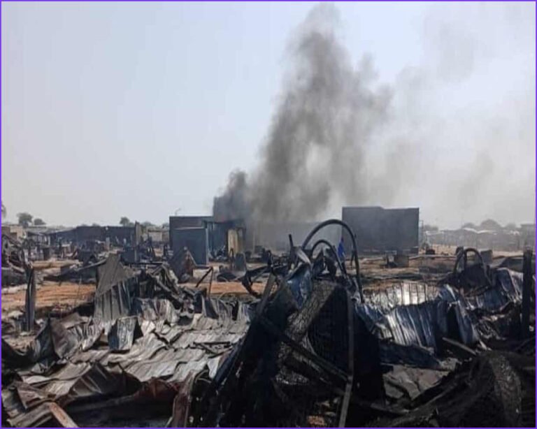Drone Strike Kills 153 People at Market in Abyei