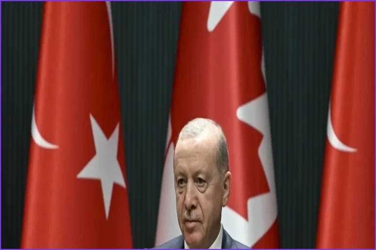 Erdogan Urges UN Security Council Reform on 81st Anniversary