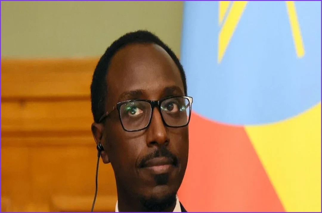 Eritrea Formally Severs All Diplomatic Ties With Ethiopia